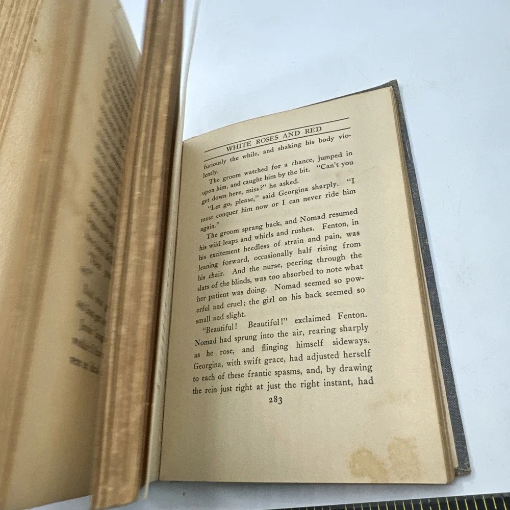 Degarmo's Wife and‎ Other Stories 1913 Hardcover, David Graham Phillips,